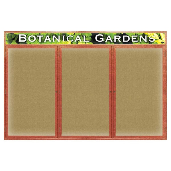 Open Faced Traditional Rounded Corkboard